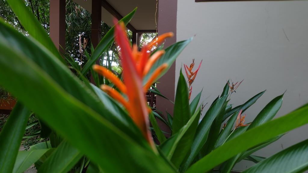 Captan Home Haad Chao Phao Dış mekan fotoğraf
